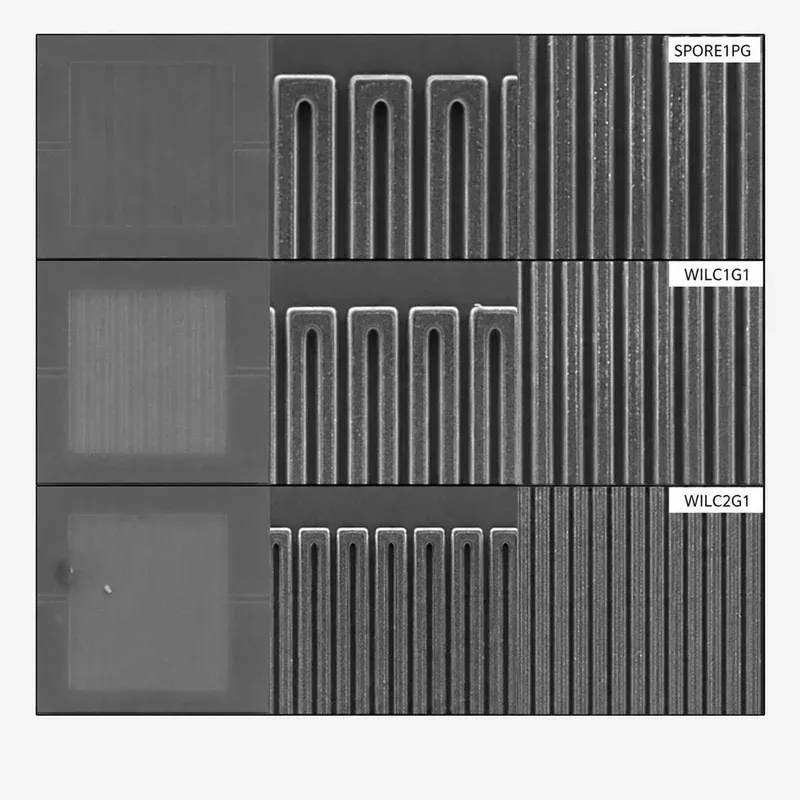 SNSPD single-photon detector device